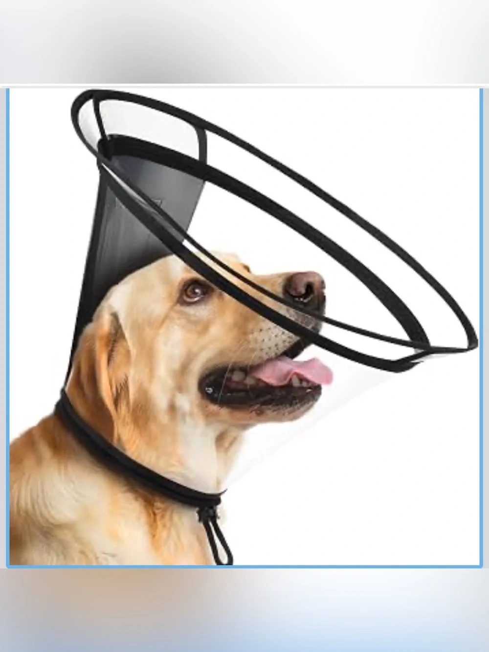 Clear Dog Cone Collar–Extra-Long Recovery E-Collar for Dogs, Transparent -M